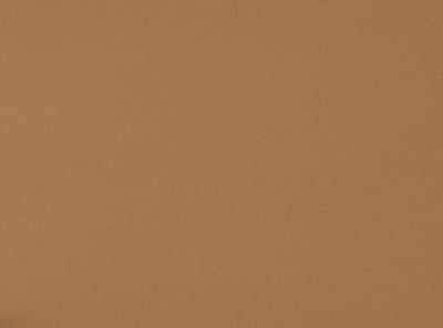 Lunettes de soleil ovales modernes