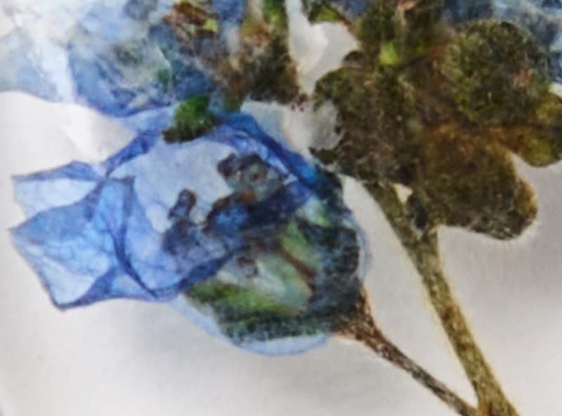 Oval Flower Earrings