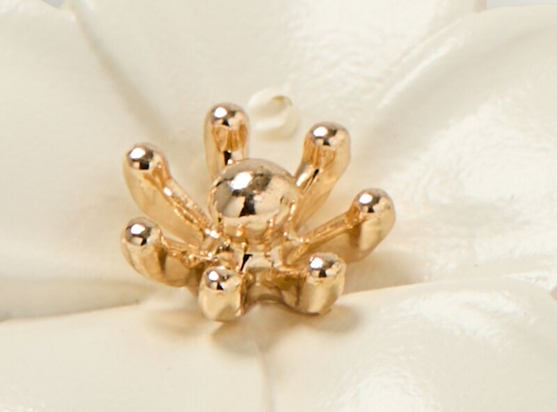 2-Pack Stud and Flower Drop Earrings