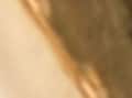 thumbnail #2