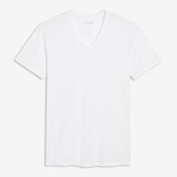 Joe Fresh Men's 2-Pack V-Neck Undershirt 1 ea, $22.00/1ea