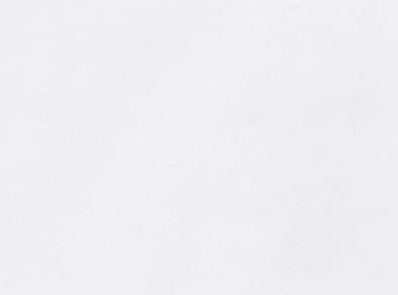 Women+ 4-Pack Briefs