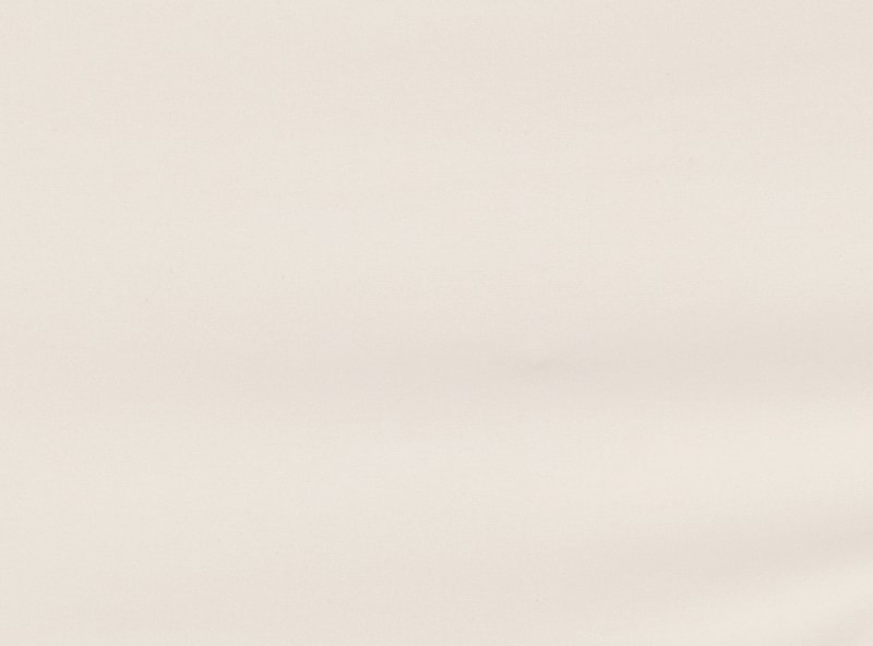 Women+ No Show Thong