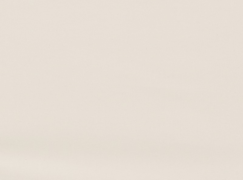 Women+ No Show Bikini