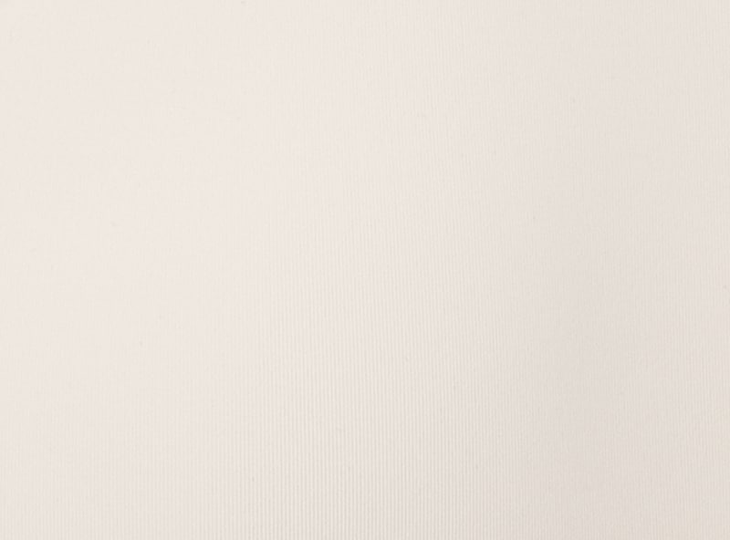 No Show V-Neck Bralette