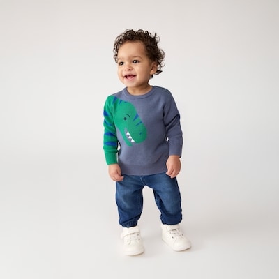 Baby Boys' Dinosaur Graphic Sweater - Dusty Blue