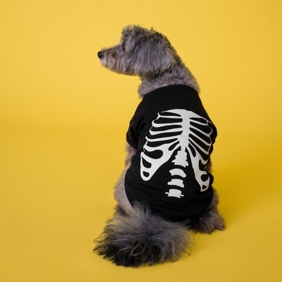 Skeleton Pet T-Shirt - JF Black