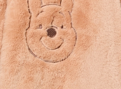 Baby Disney Winnie-the-Pooh Pram Suit