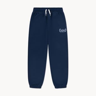 Kid Boys' Levi Strauss Signature™ Gold Jogger - Navy