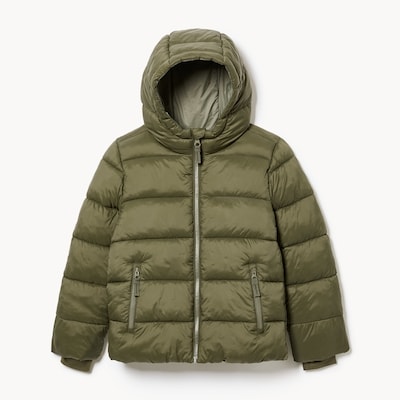 Kid Boys' Hooded Puffer Jacket - Olive