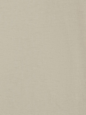 Kid Boys' Levi Strauss Signature™ Gold T-Shirt