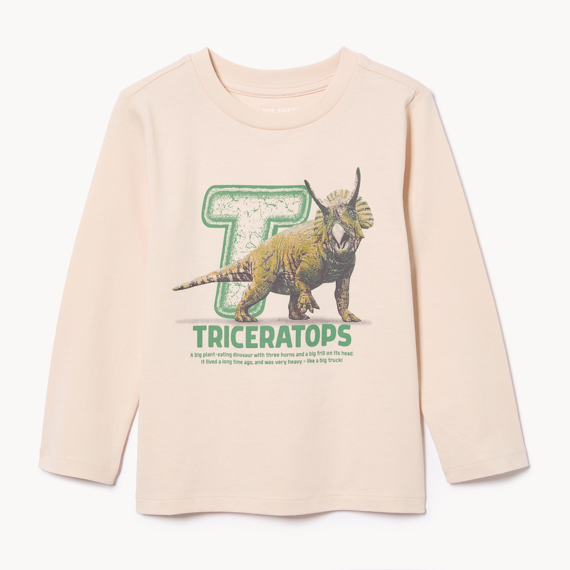 Toddler Graphic Long Sleeve Top