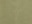 Light Olive