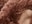 Brun