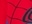 Rouge Vif