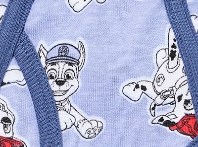 Toddler Boys' Paw Patrol 3-Pack Brief