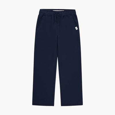 Pantalon en molleton Levi Strauss SignatureMC Gold - Marine foncé