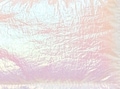 thumbnail #2