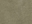 Light Olive