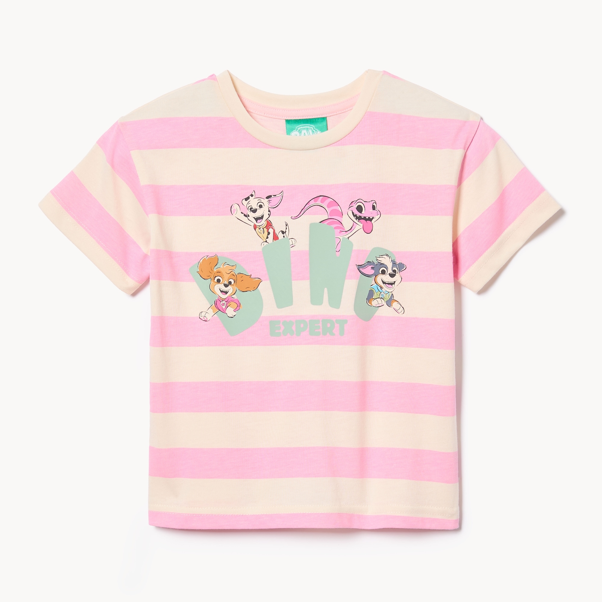 Toddler Girls' Paw Patrol T-Shirt