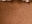 Brun