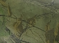 thumbnail #4