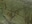Dark Green Mix