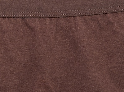 Women+ Organic Cotton 4-Pack Brief
