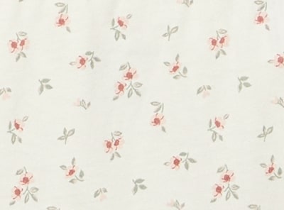 Ens. de 4 culottes en coton biologique Femmes+