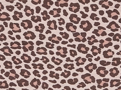 Women+ Modal Printed Hipster