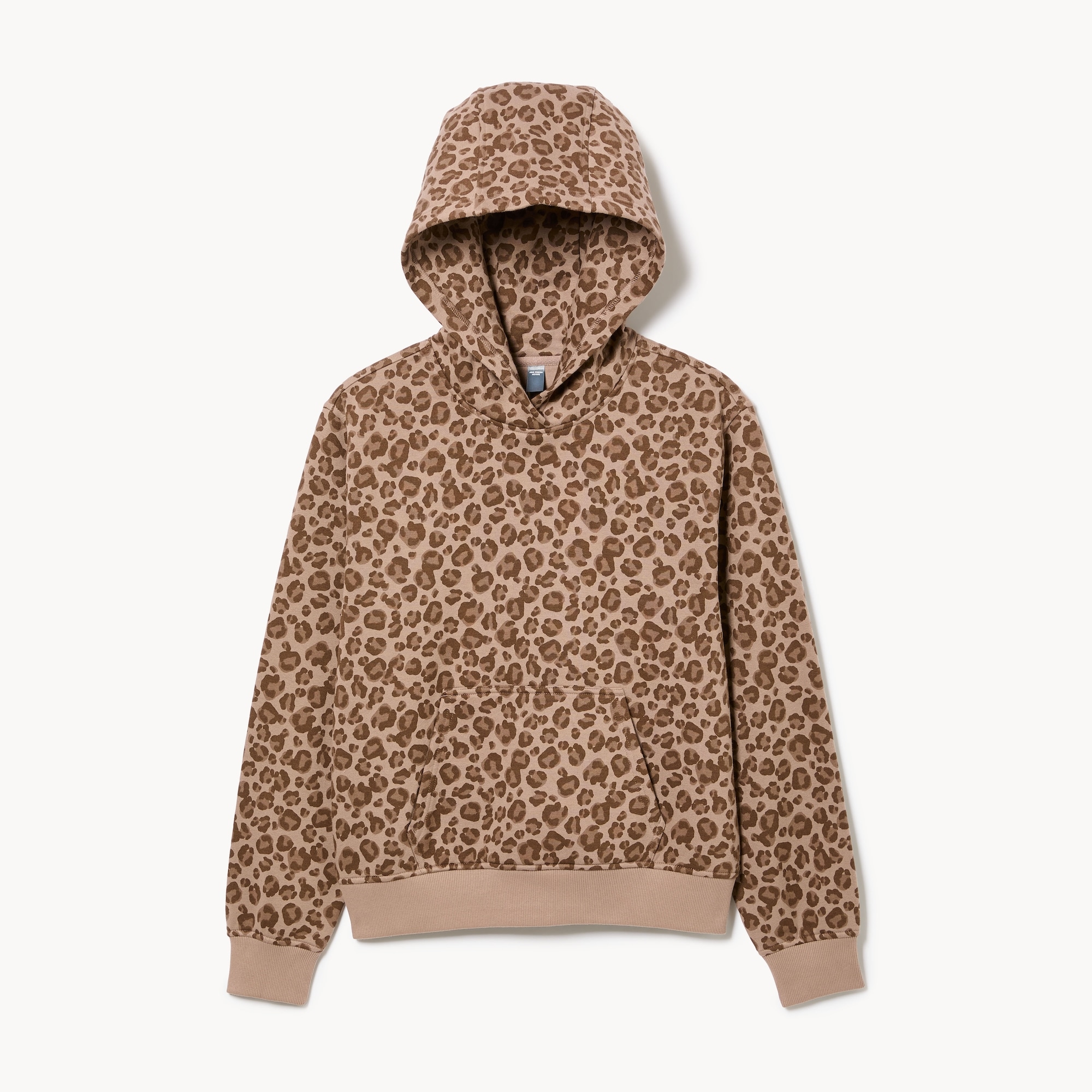 Active CozyFleece Hoodie