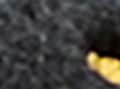 thumbnail #4