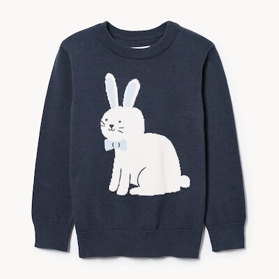 Toddler Boys' Character Sweater