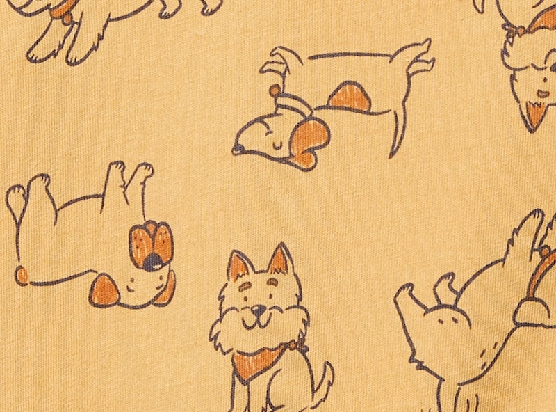 Baby Boys' 2-Piece Jogger Set