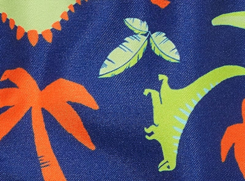 Baby Boys' Printed Swim Trunk