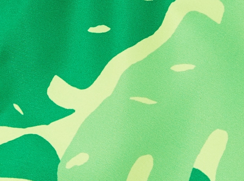 Kid Boys' Printed Swim Trunk