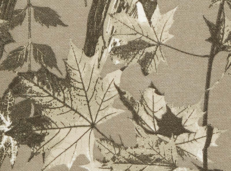 Tween Boys' Oversized Sweatshirt