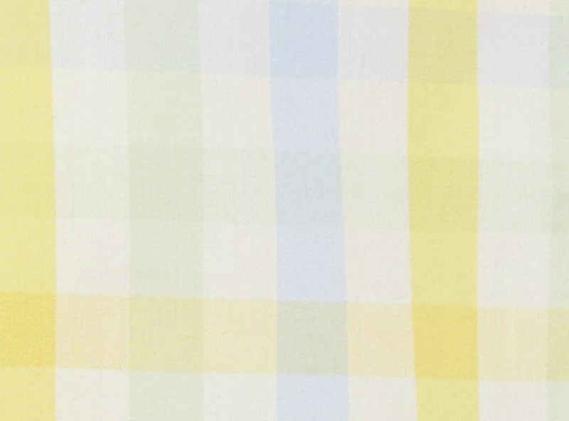 Kid Boys' Gingham Shirt