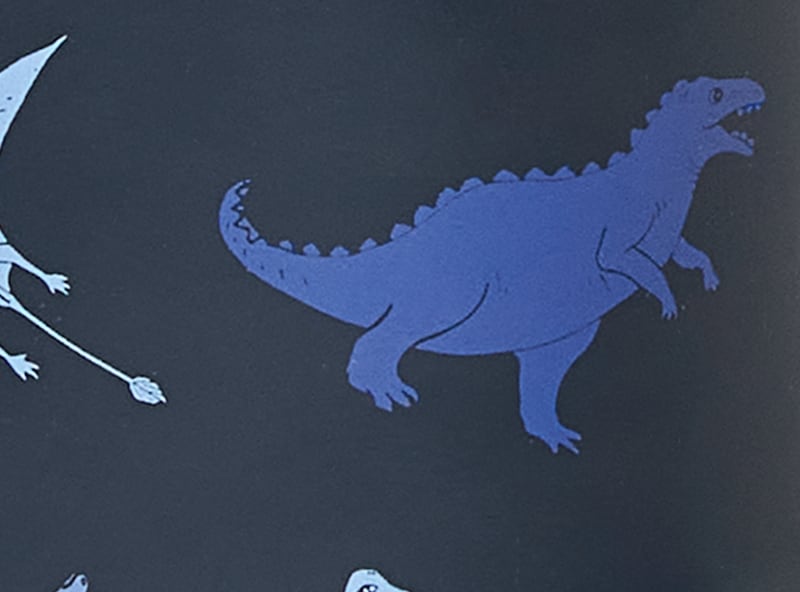 Kid Boys' Dinosaur Rain Boots