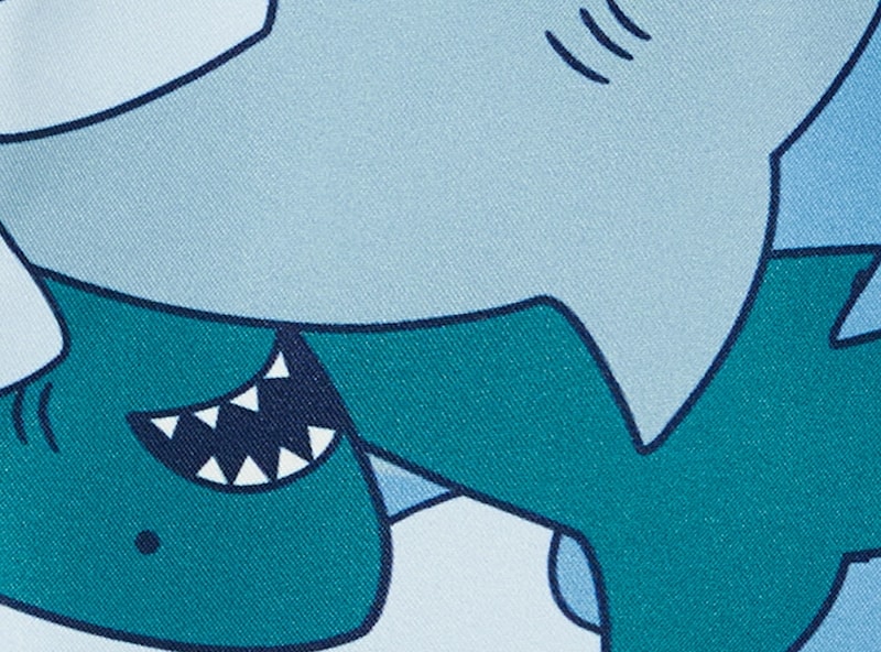 Kid Boys' Printed Swim Trunk