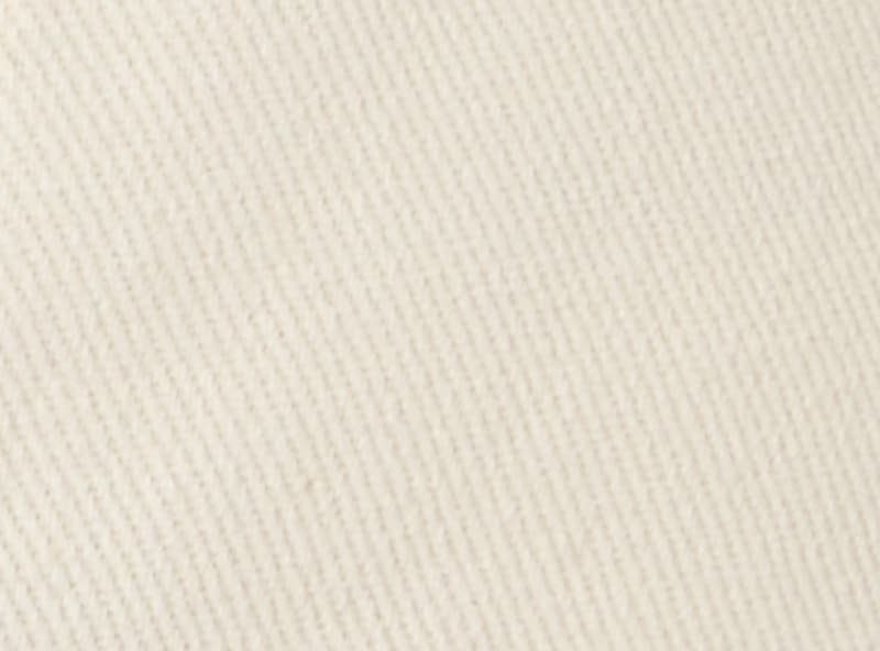 Toddler Boys' Lion Graphic Cap