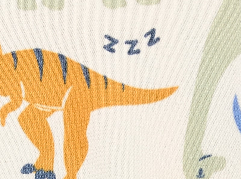 Toddler Boys' 2-Piece Printed Sleep Set