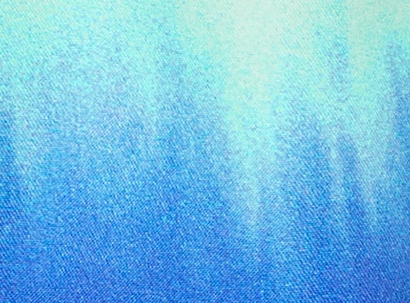 Toddler Boys' Printed Swim Trunk