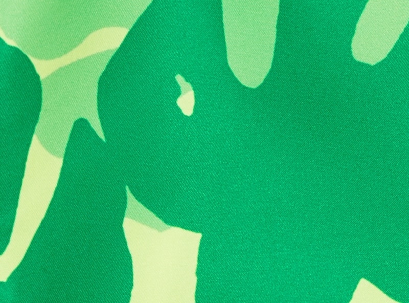 Toddler Boys' Printed Swim Trunk