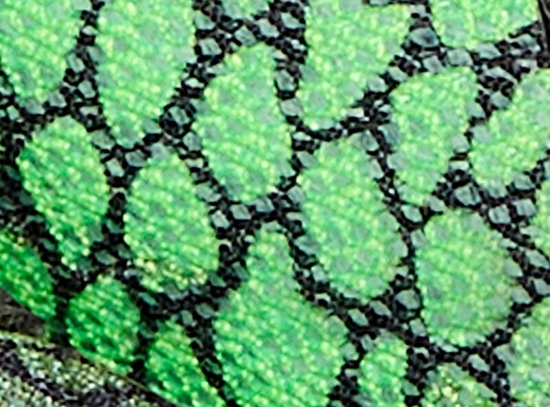 Toddler Boys' Light Up Sneakers