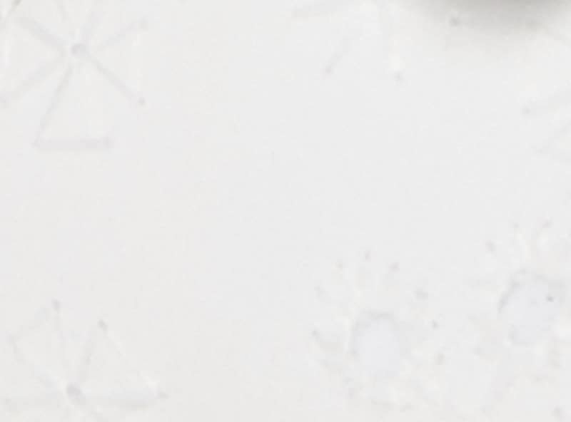 Baby Girls' Bow Sandals