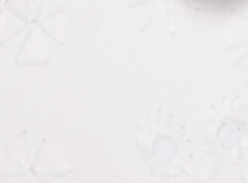 Baby Girls' Bow Sandals