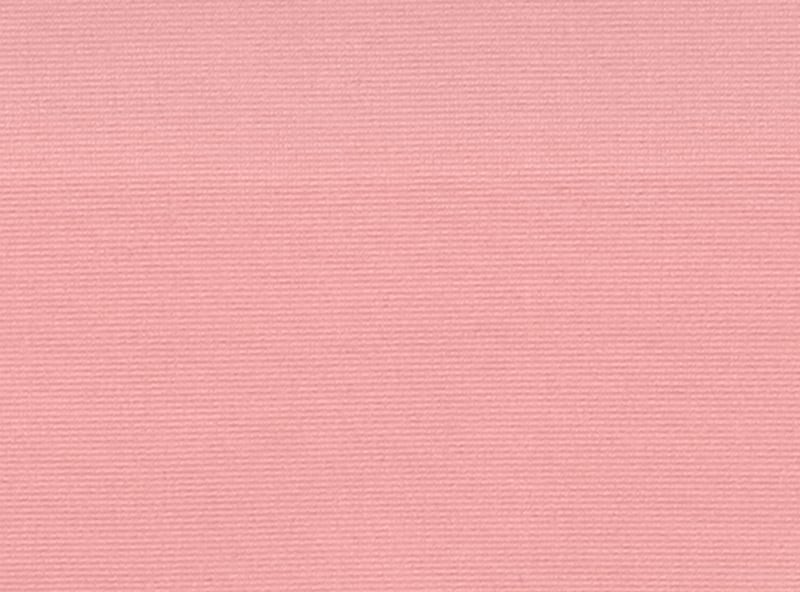 Kid Girls' 2-Pack No Show Bikini