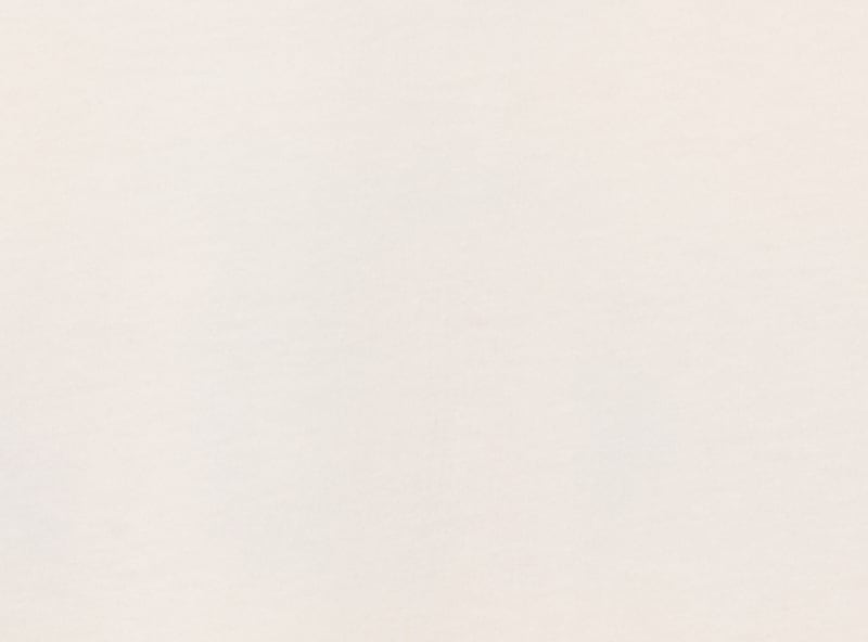 Adult Molson Canadian Graphic T-Shirt