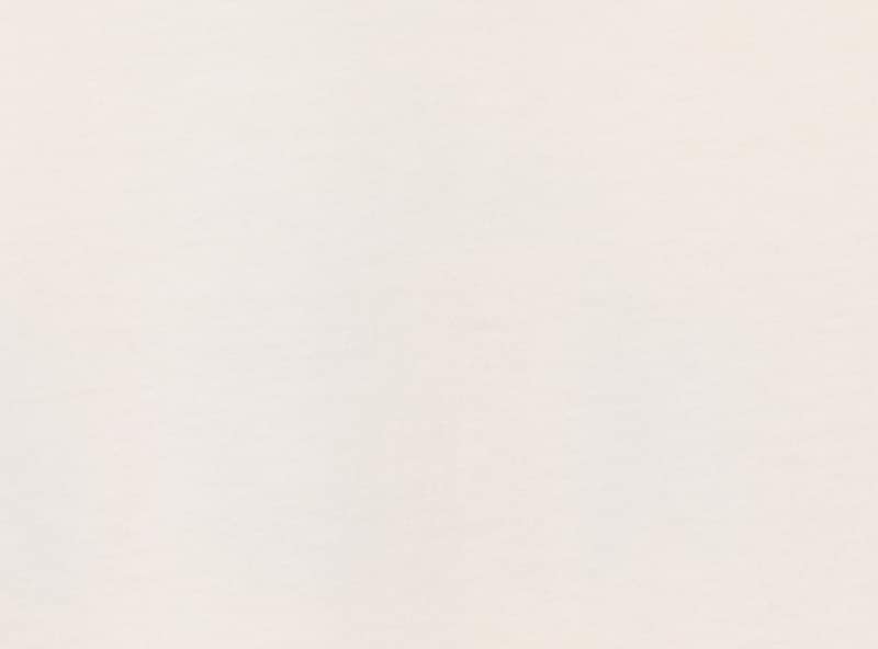 Adult Molson Canadian Graphic T-Shirt